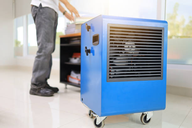 Best Forensic Mold Investigation  in Tigerville, SC