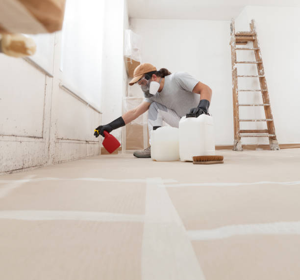 Professional Mold Removal in Tigerville, SC